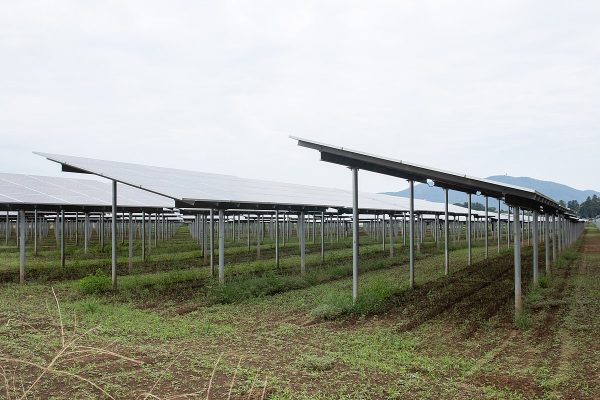 An agrivoltaic system such as the ones under study at the National Renewable Energy Laboratory (NREL)