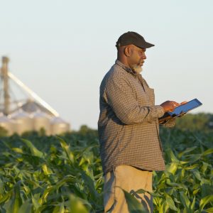 Man in a field