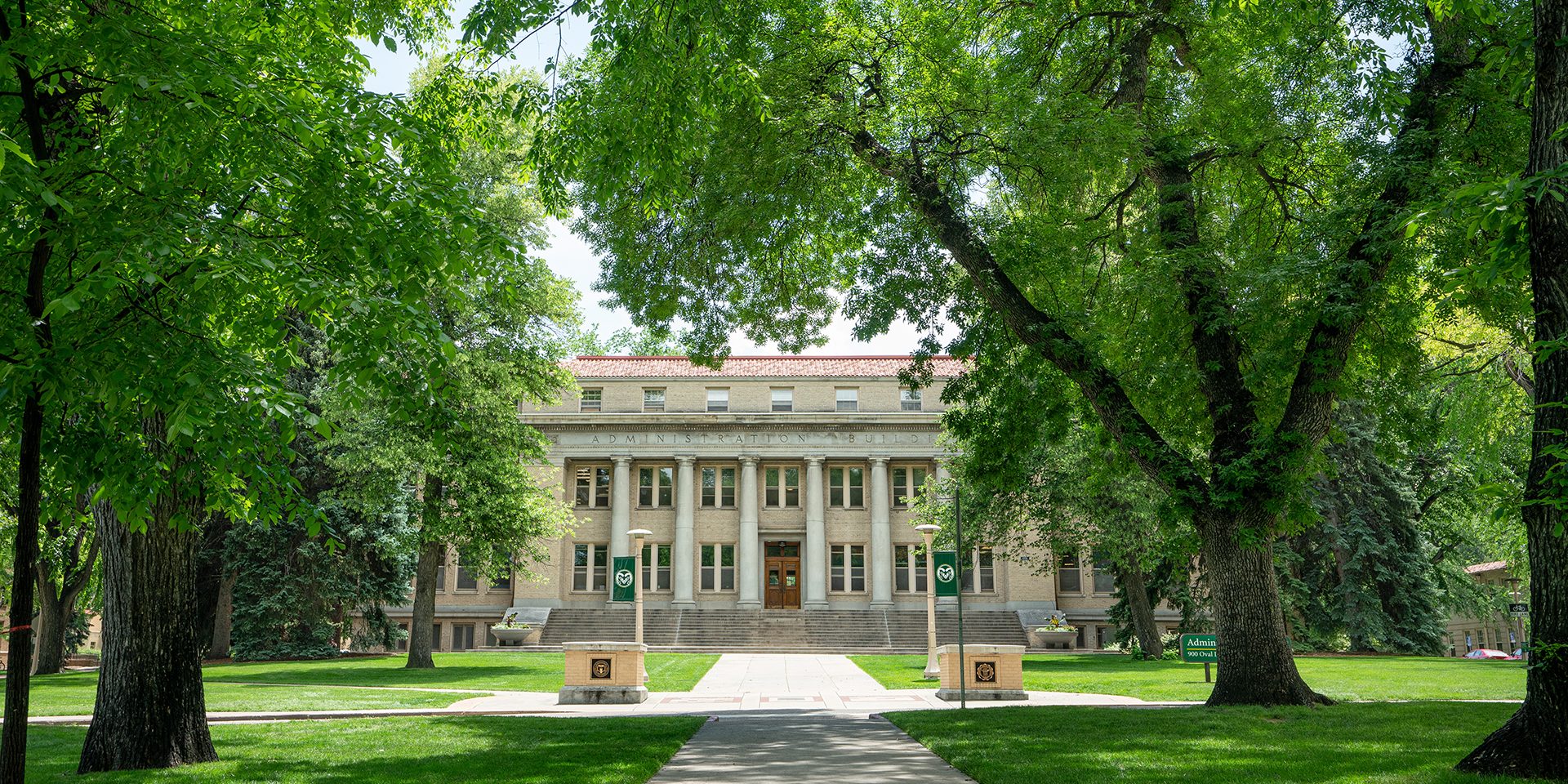 View of the CSU oval with trees